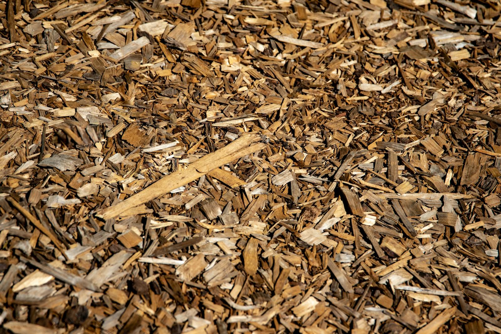 Fresh hardwood mulch installed at consistent depth around a foundation bed.